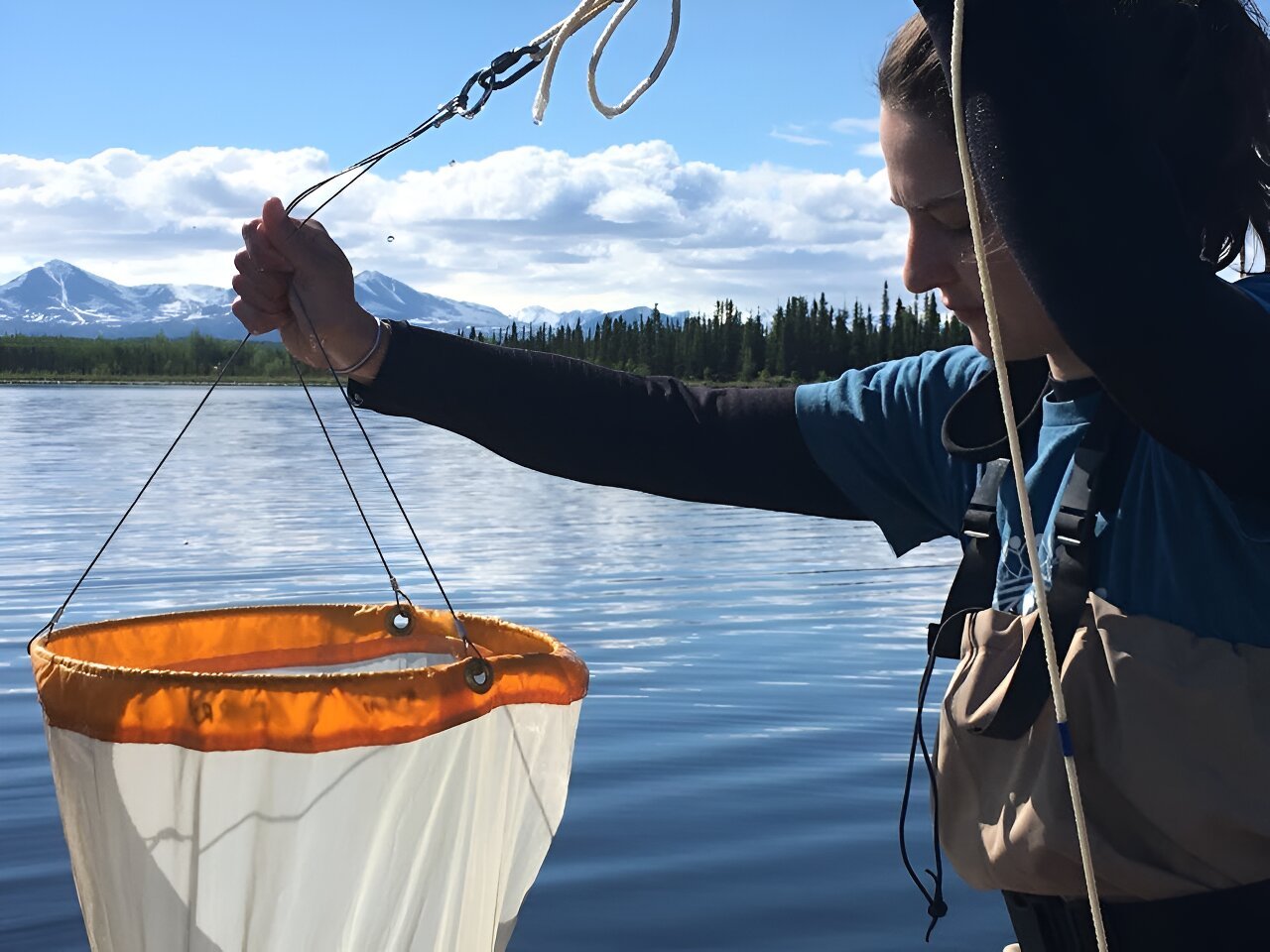 Understanding how human activity impacts zooplankton is essential for ...
