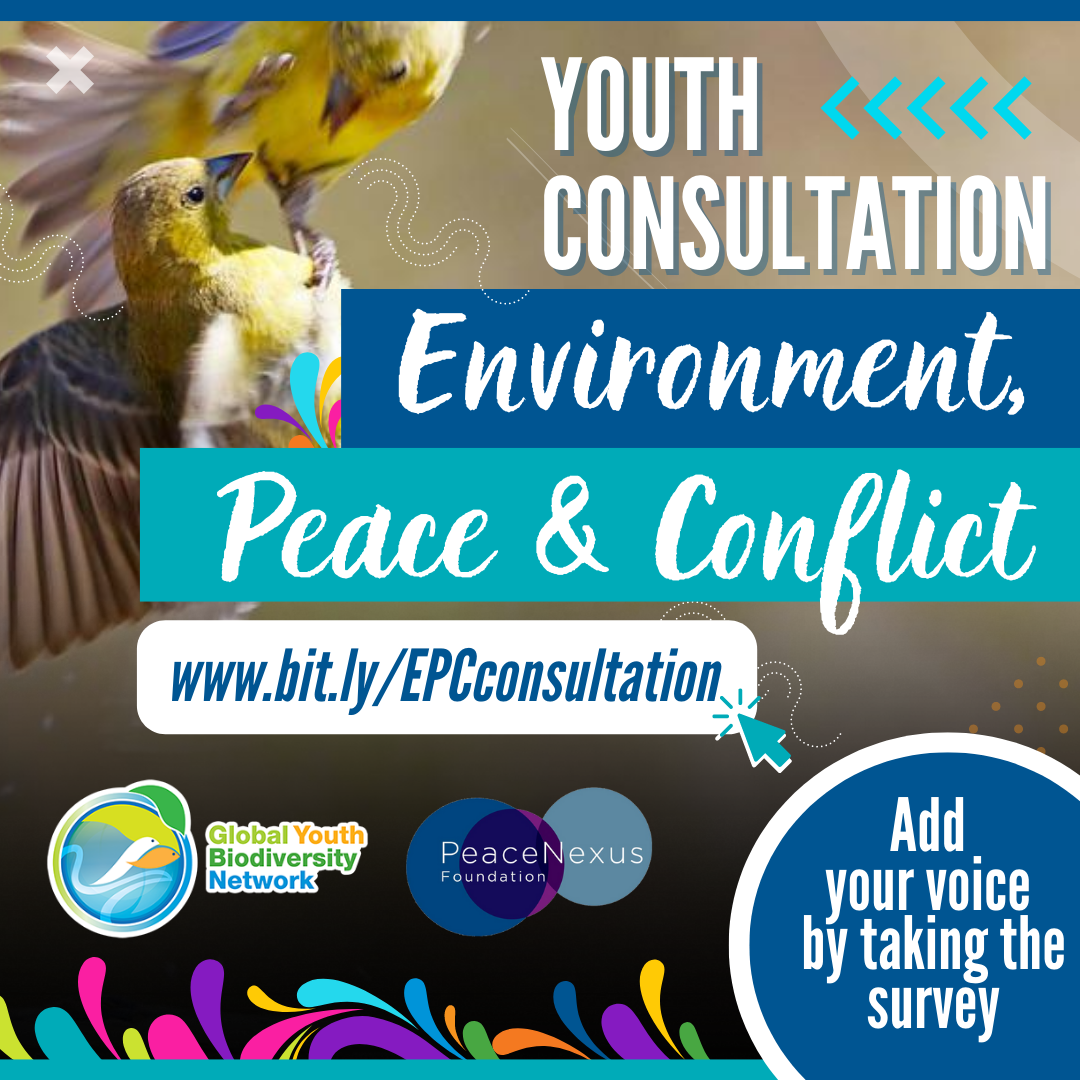 Join the youth consultation on environment, peace and conflict - June 2025