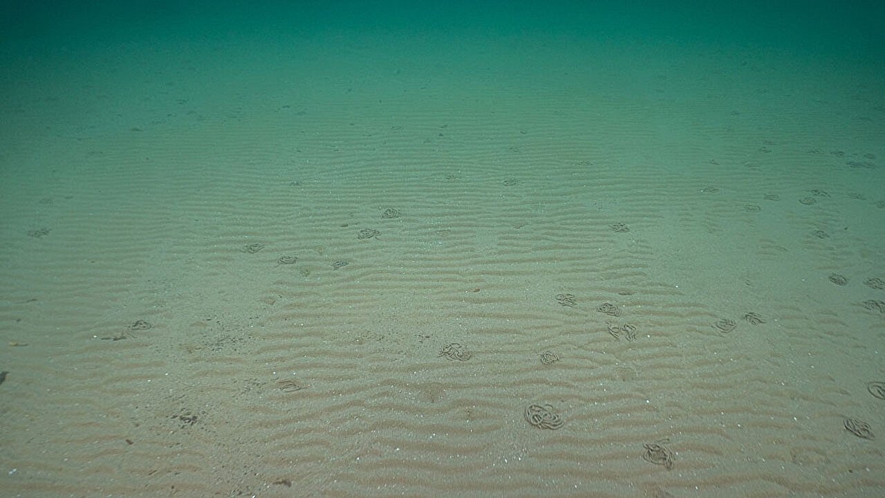 Mapping the ocean floor with ancient tides - May 2025
