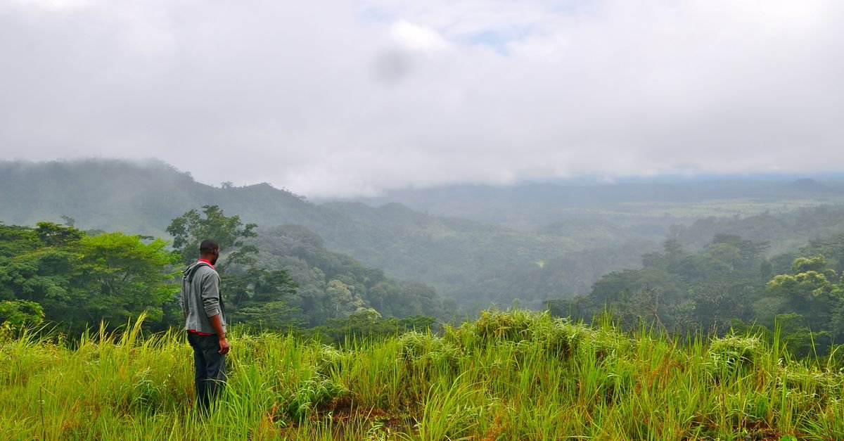 3 ways protecting nature can help resolve conflict - July 2025