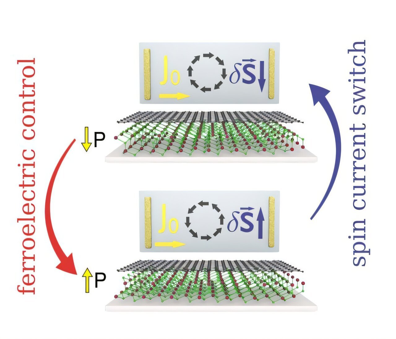 Electrical control of spin currents in graphene via ferroelectric ...