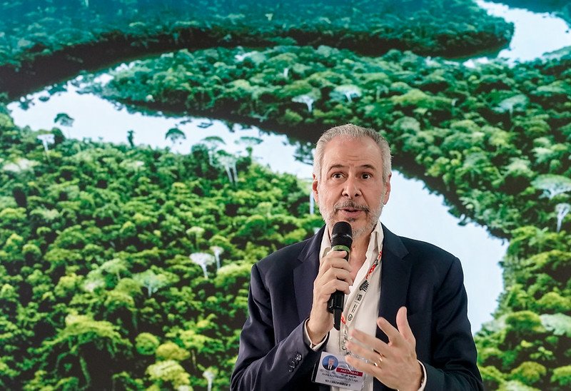 How a Brazil-led roadmap can rescue global pledge to halt deforestation ...